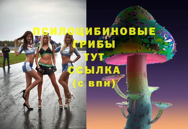 сатива Майский